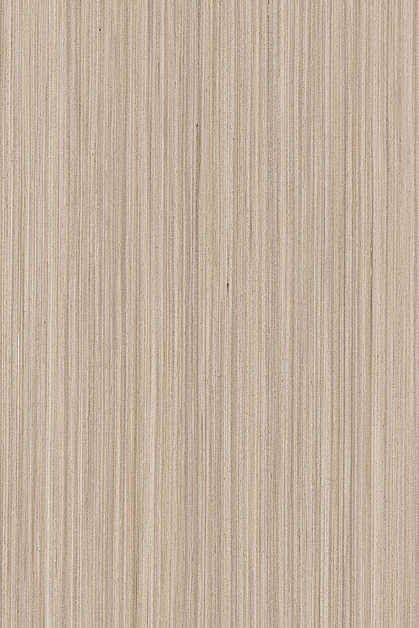 科技木-2